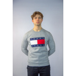 Tommy Hilfiger Bluza DM0DM07201 Original Sweat Shirt, szara - obrazek 2
