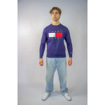 Tommy Hilfiger Bluza DM0DM07201 Original Sweat Shirt, granatowa - obrazek 6