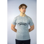 Polo Ralph Lauren Koszulka 710843377001 Classic Fit Jersey T-shirt, szara - obrazek 4