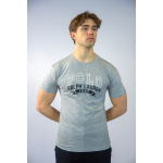 Polo Ralph Lauren Koszulka 710843377001 Classic Fit Jersey T-shirt, szara - obrazek 3