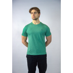 Polo Ralph Lauren Koszulka 710671438145 SSL-TSH T-shirt, zielona